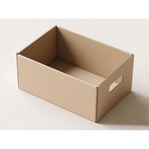 Custom Printed Carton Box