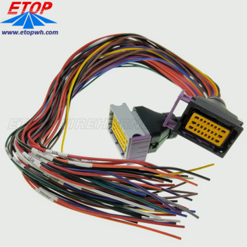 ECU 24 pin car waterproof cable assembly