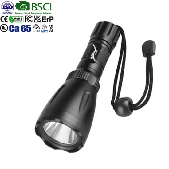 WarSun QS161 Underwater Dive Flashlight: IPX8 Rated, 120Lm Brightness, Magnetic Rotary Switch