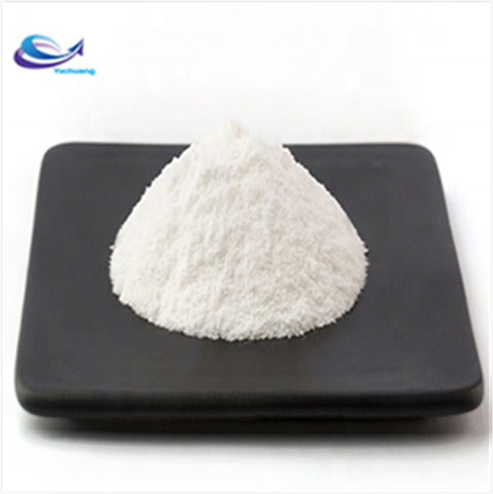 Creatine Monohydrate Powder Supplement