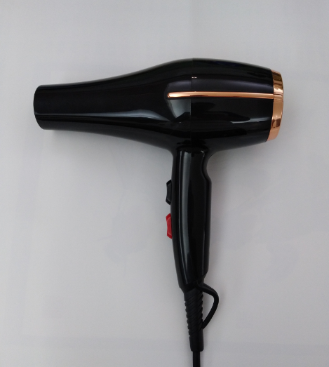 Ionic Professional Salon Hair Dryer