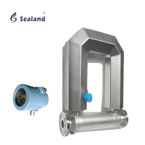 100mm Coriolis Mass Flow Meter