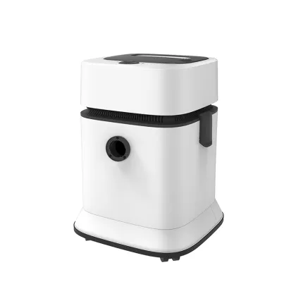 2020 New Dust Vacuum Vehicle Vacuum Cleaner with Suction Power