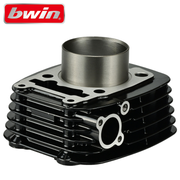 PULSAR 200cc Piston Ring & Cylinder Block Kit for BAJAJ