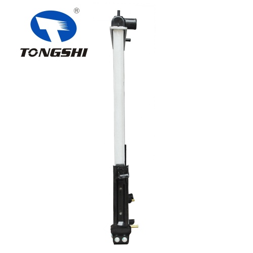 Radiator Spare Parts for NISSAN SAFAI 07-AT OEM 21460-VC200 Radiator Sale