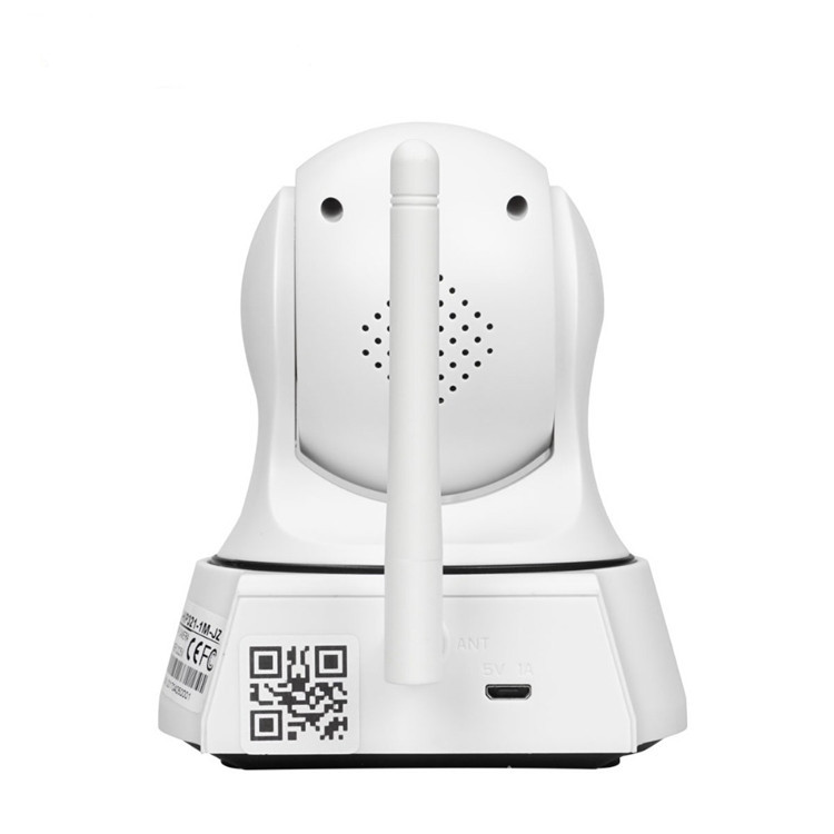 auto networking ip camera