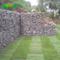 Galvanized steel wire material welded gabion box