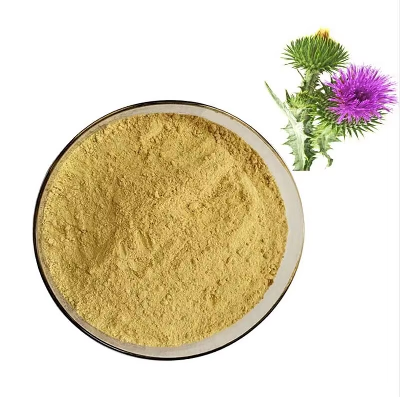 High Purity Milk Thistle Seed Extract 80% Silymarin Powder