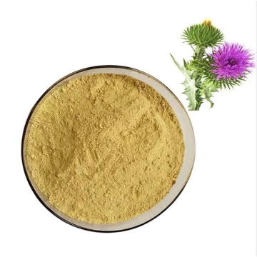 High Purity Milk Thistle Seed Extract 80% Silymarin Powder