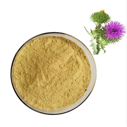 High Purity Milk Thistle Seed Extract 80% Silymarin Powder