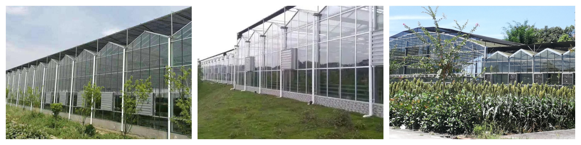 Glass Greenhouse With Shade Systems