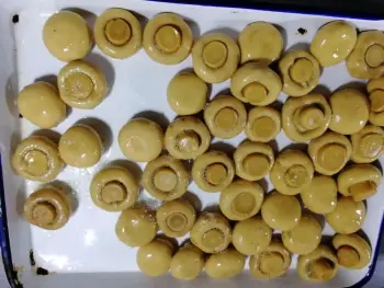 Canned Mushroom