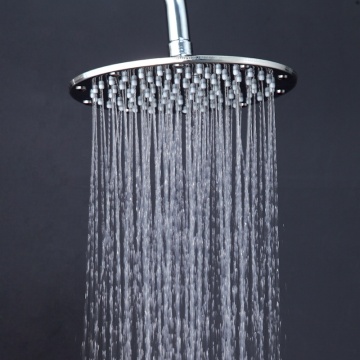 Stainless Steel Water-Saving Rain Shower Head for Bathroom Spa Handheld Shower