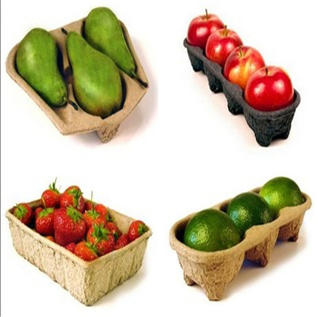 fruit tray machine (11)