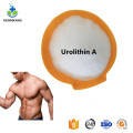 Buy online active ingredients Urolithin A powder