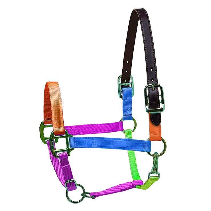 Horse Bridle