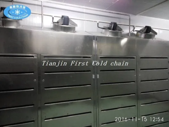 Thawing Machine Widely Used in Seafood and Meat Processing Fields