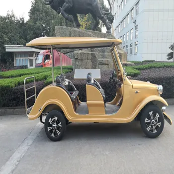 Vintage Car Fanatics Must-See Collection