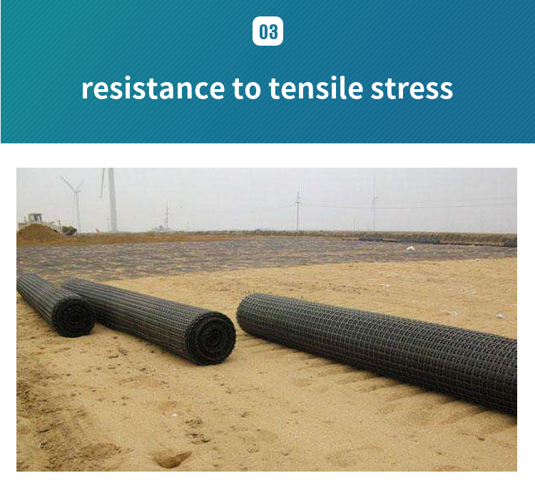 plastic geogrid (9)