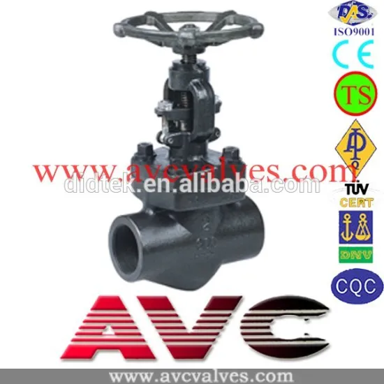 AVC Socket Welded Forged Globe Valve