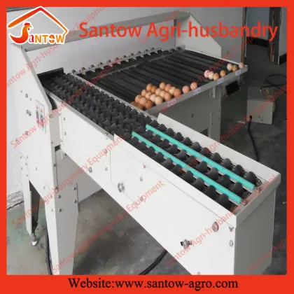 Automatic egg classifying machine eggs grading machine