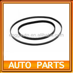 Timing Belt & Ribbed V Belt