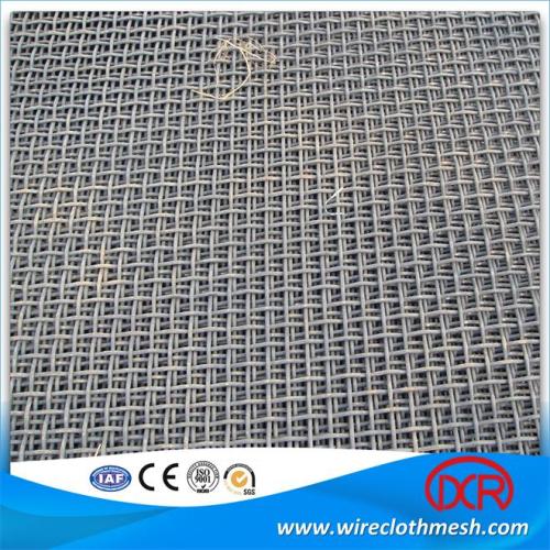 Black Mesh Screen Disc