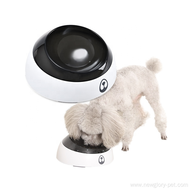 Removable Easy To Clean Tilted Pet Feeder