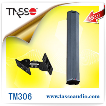 PRO Surrounding Sound Audio Loudspeaker (TM306)