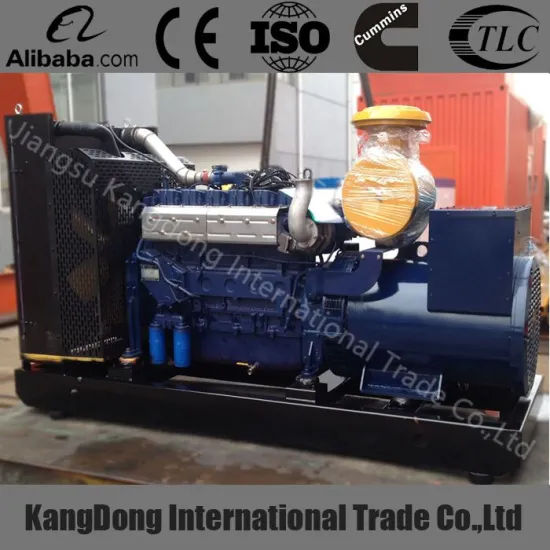 250KVA Natural gas generator price