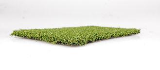 Fake Monofilament Outdoor Golf Artificial Grass Roll For Pa