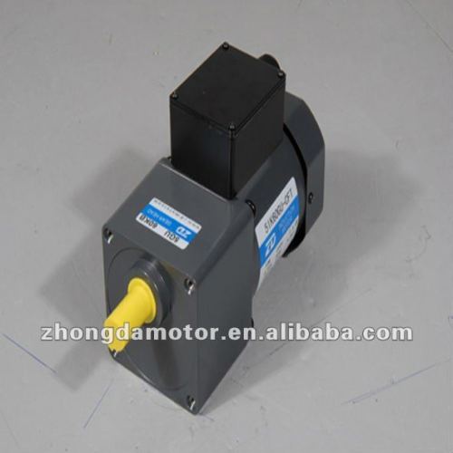 ac induction gear motor 60W