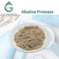 مسحوق إنزيم البروتياز القلوي إنزيم البروتياز الميكروبي