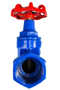 Ductile iron gate valve