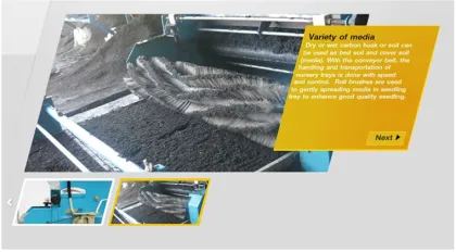 Automatic Rice Seed Nursery Sowing Machine Line