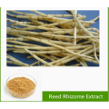 Reed Rhizome Extract Powder