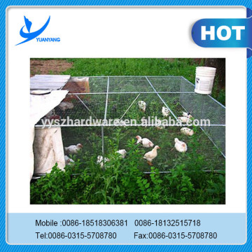 Suitable for various industries of high quality hexagonal wire netting