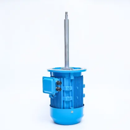 Chemical Pump Long Shaft Electric Motor