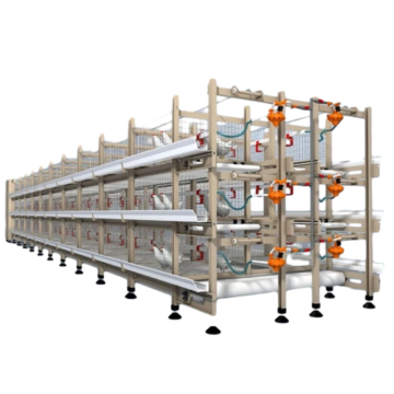 Long Service Life Hot Dip Galvanized Poultry Farming Equipment