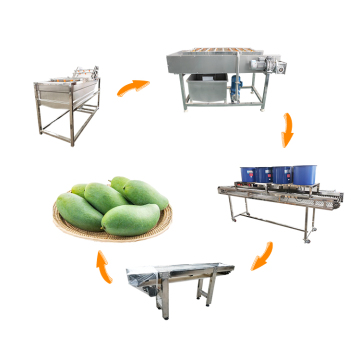 Linea di produzione automatica di trasformazione di frutta e verdura