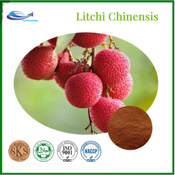 Hot sale Natural Litchi 100% pure litchi juicez