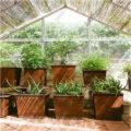 Garden Corten Steel rustic large flower pots planters