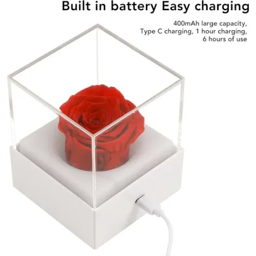 Причудливый USB -цветочный ночной свет для комнат для девочек