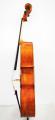Antique Oil Varnish Professional Advanced Cello