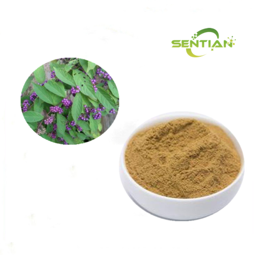 Comfrey Extract Powder Sale