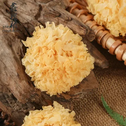 Organic Golden Tremella Fungus Wholesale Dried Mushrooms