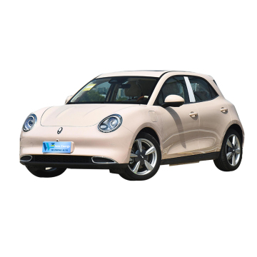 2023 Great Wall Ora Mini EV: New Energy Vehicles including ORA Good Cat and Ballet Cat