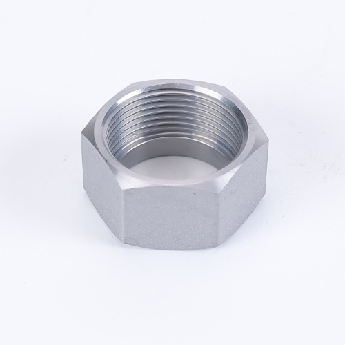 Nut pipe fittings metric