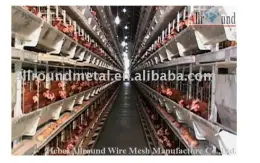 Automatic poultry equipment