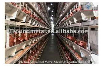 Automatic poultry equipment